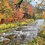 Mountain By The River - Base Camp Medvedin キャンプ場