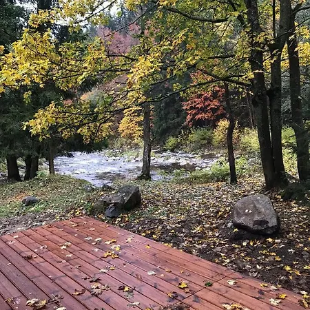 Mountain By The River - Base Camp Medvedin Кемпинг