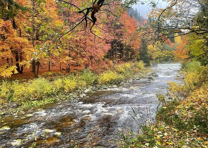 Mountain By The River - Base Camp Medvedin キャンプ場
